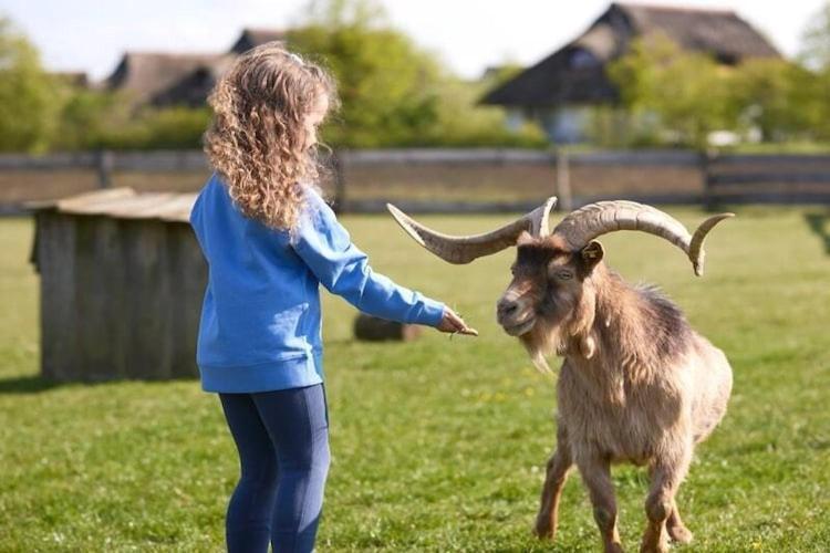 Holiday Resort Van Der Valk, Linstow Dobbin-Linstow Luaran gambar